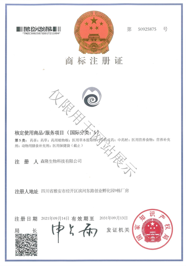 5类图形商标注册证